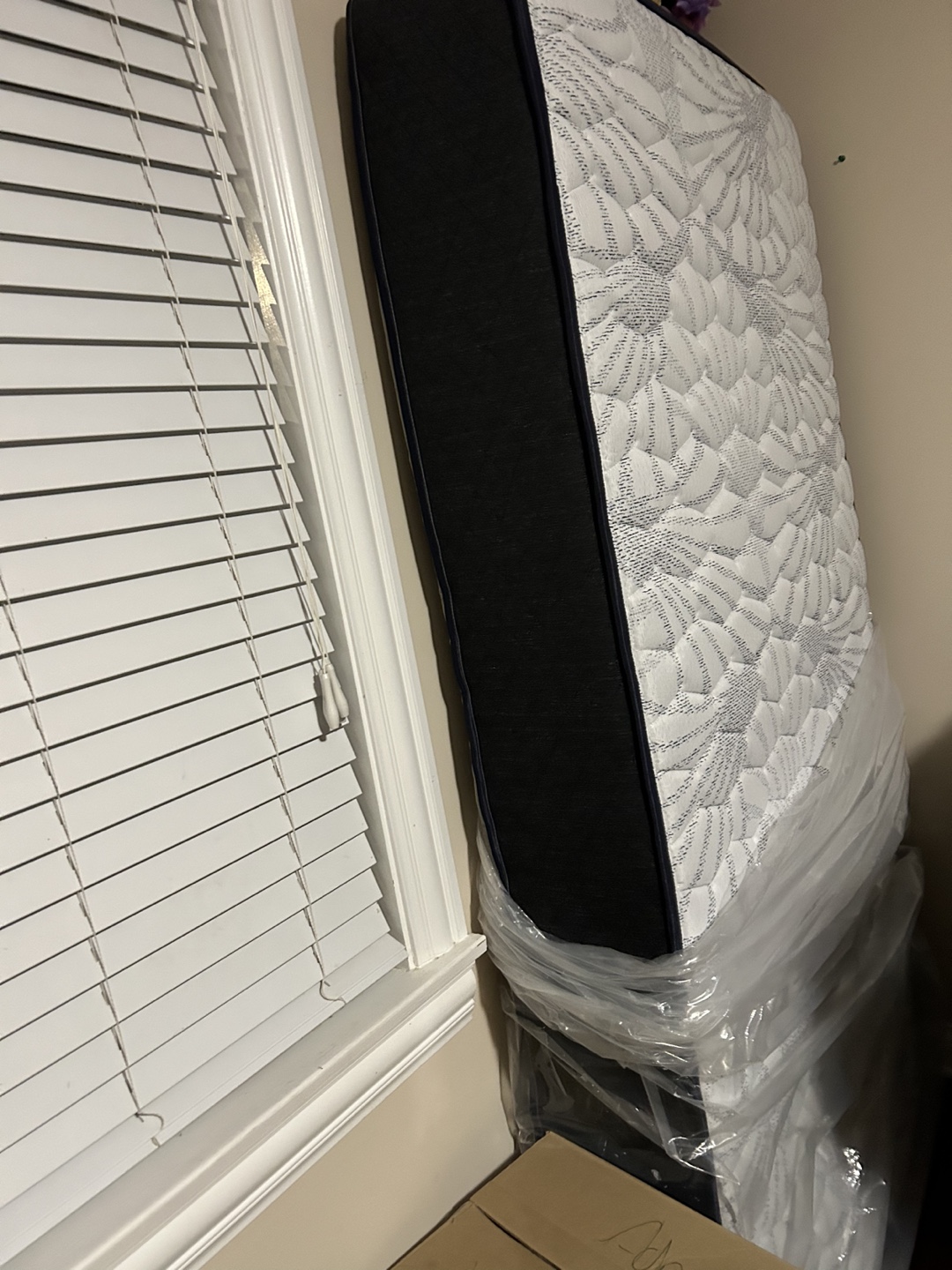 Twin Mattress