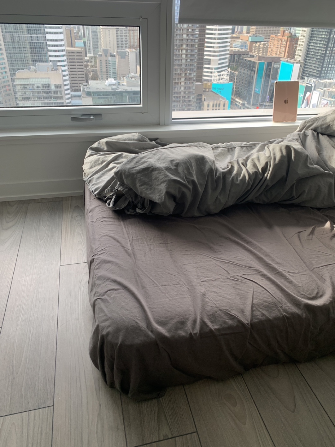 $30 Queen Mattress