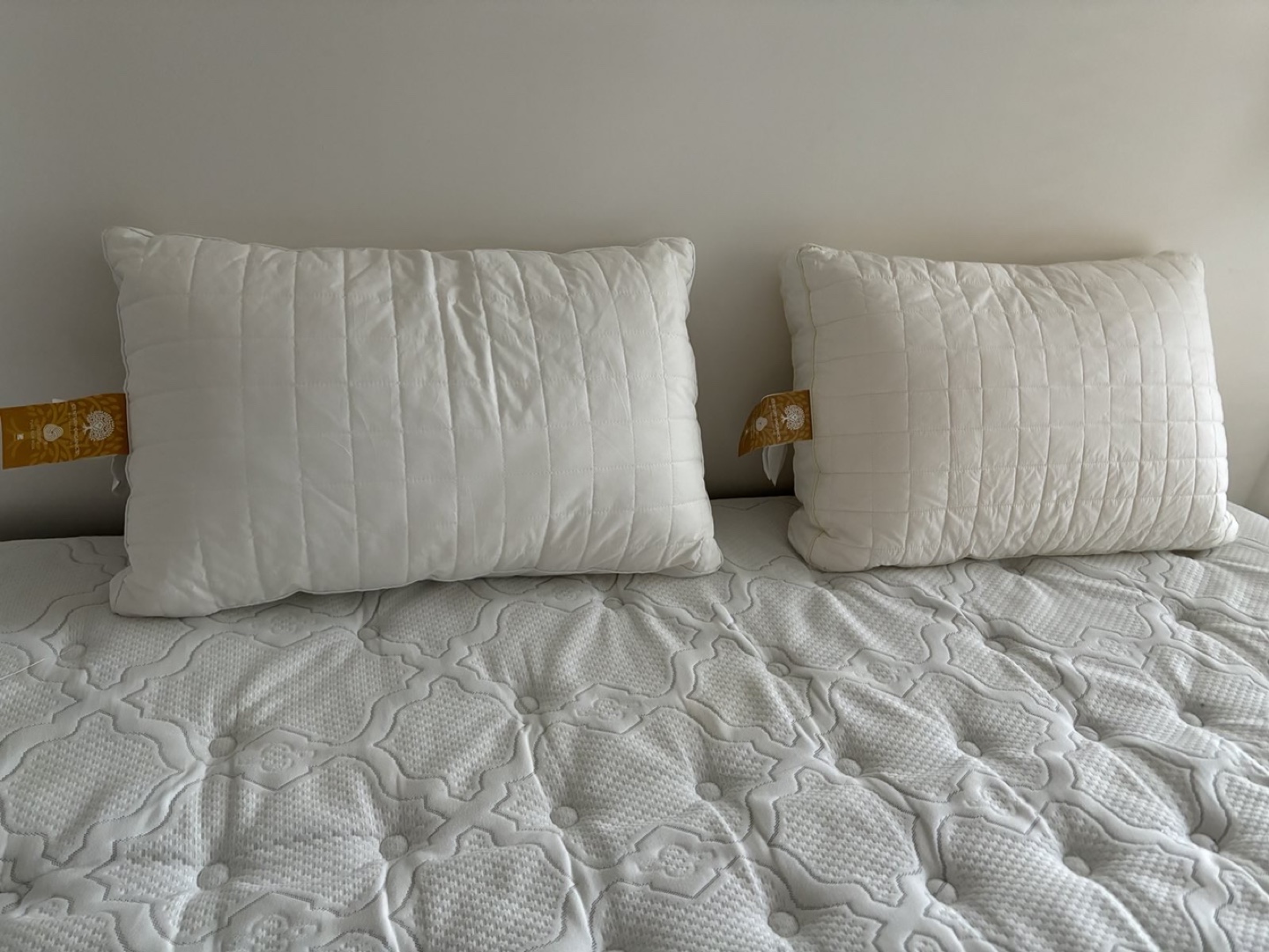 2 Pillows #freecycle