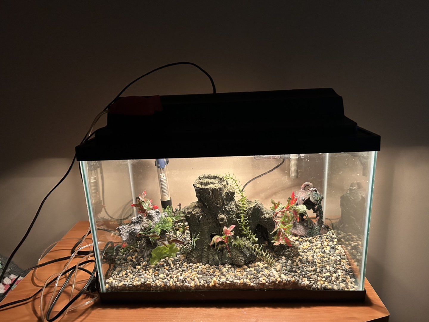 Aquarium Tank with Filter, Decorations, and Accessories