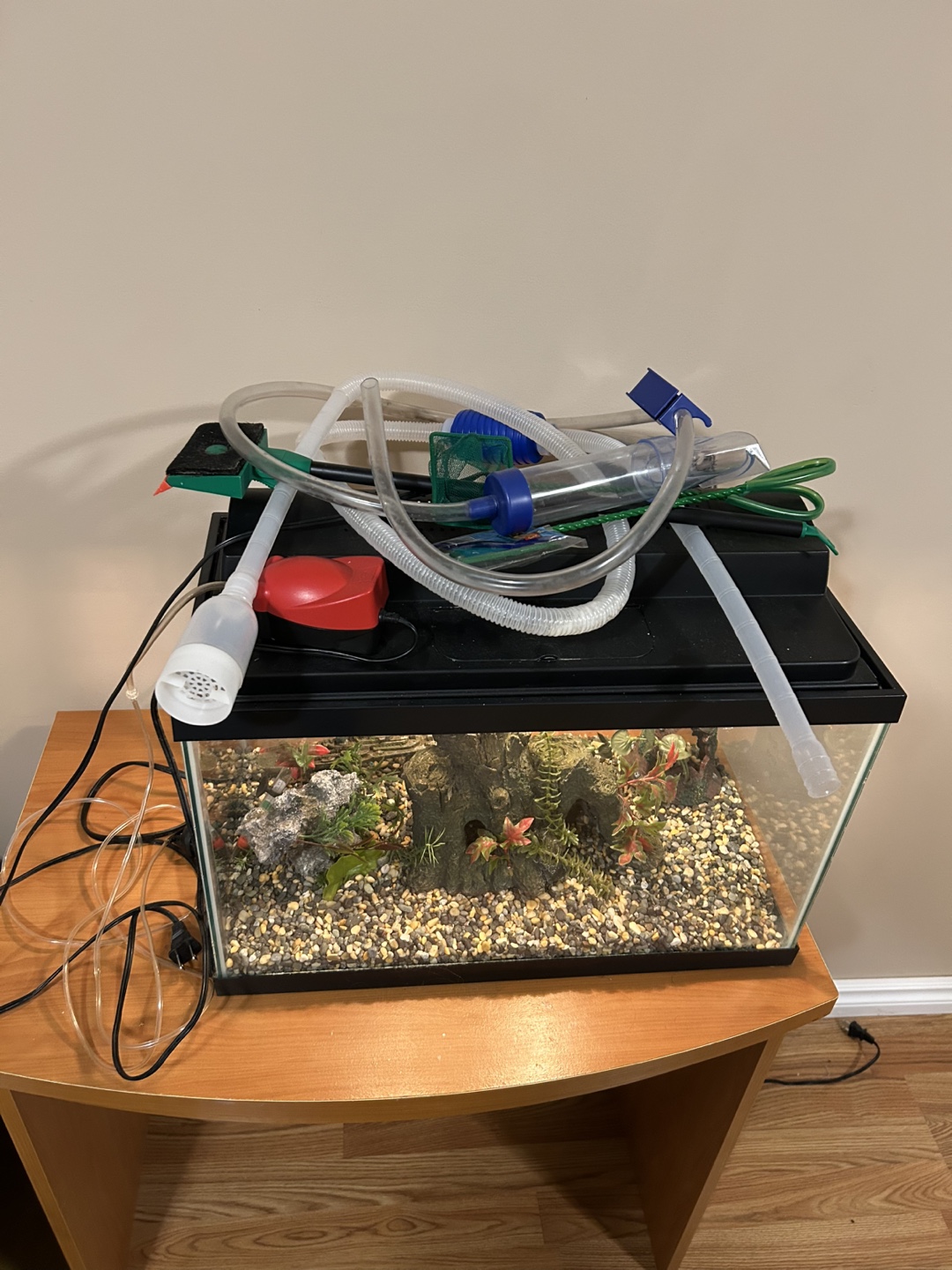 Aquarium Tank with Filter, Decorations, and Accessories - photo 3