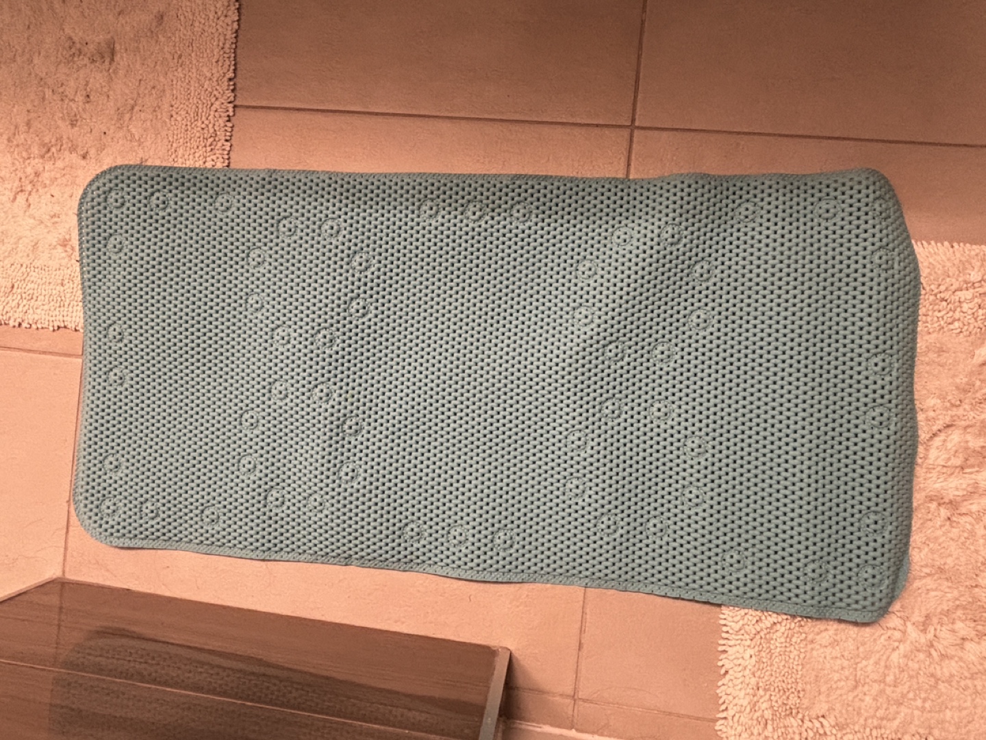 Bath Mat with Suction Cups - used one time