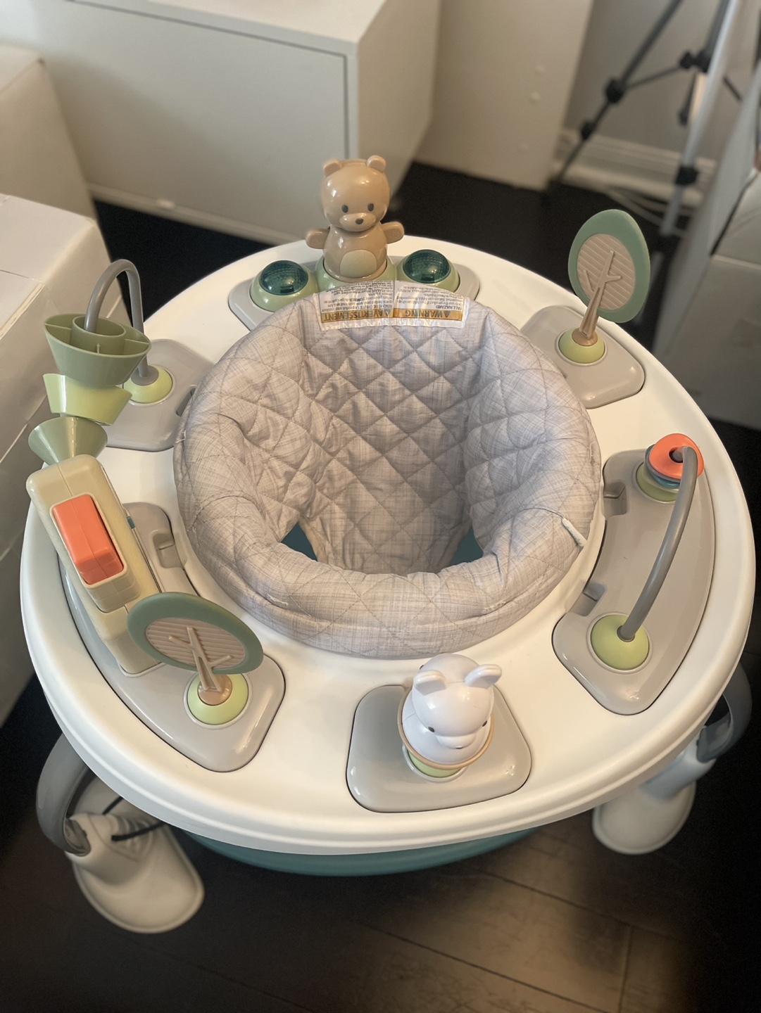 Baby Einstein  Activity Jumper - photo 3