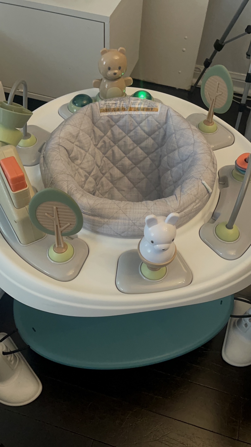 Baby Einstein  Activity Jumper