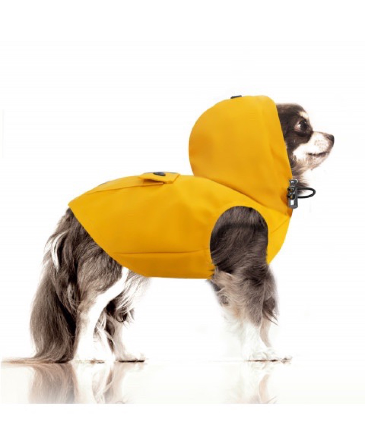 Yellow Dog Raincoat (Milk and Pepper)