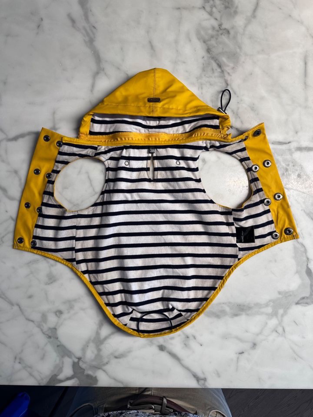 Yellow Dog Raincoat (Milk and Pepper) - photo 2