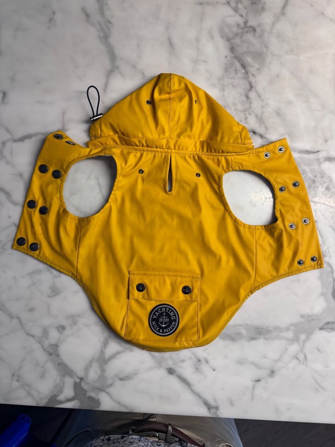 Yellow Dog Raincoat (Milk and Pepper) - photo 3