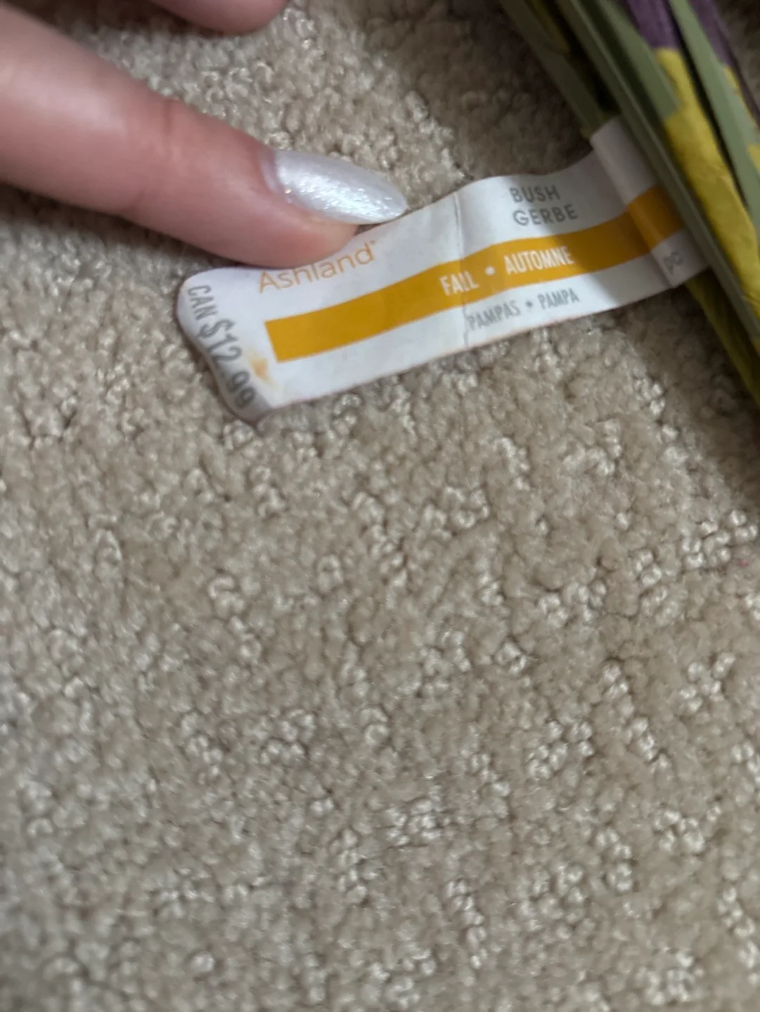 Ashland - Fall deep purple Pampas image indicator(2)