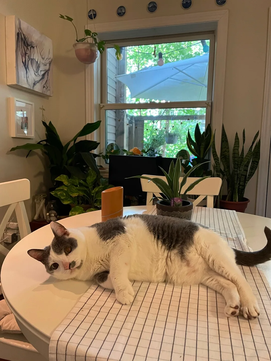 White extendable Dining Table and Four Chairs image indicator(2)