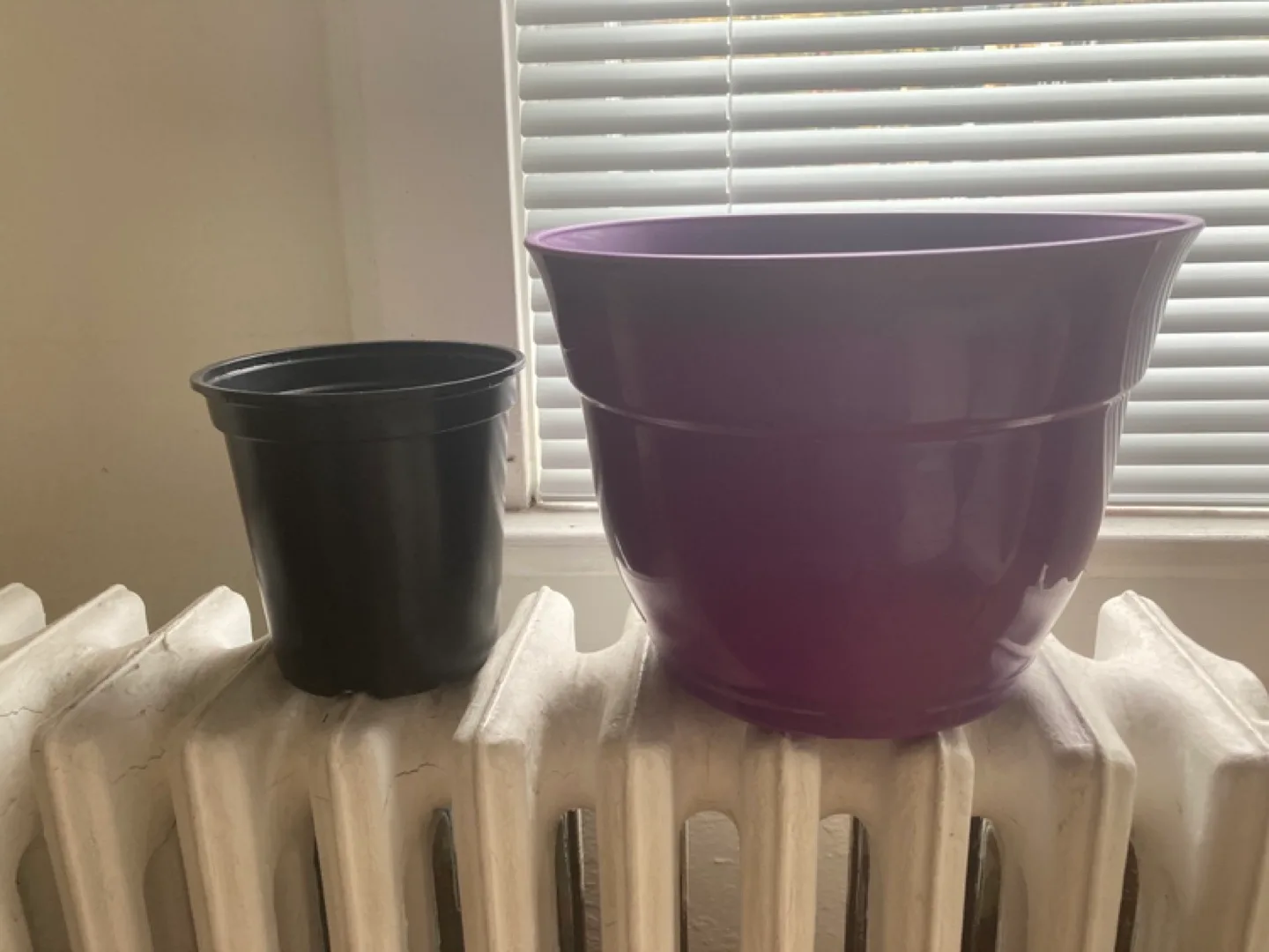 #freecycle Plastic Plant Pots image indicator(3)