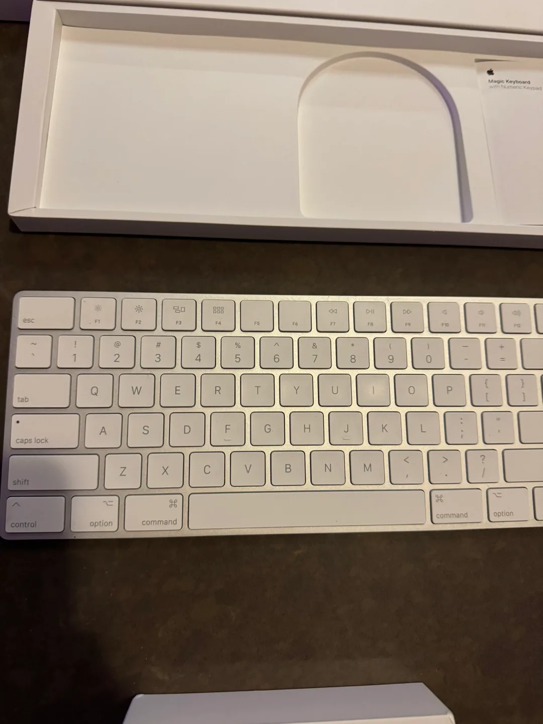 Magic Mouse 2 & Magic Keyboard with numeric keypad image indicator(4)