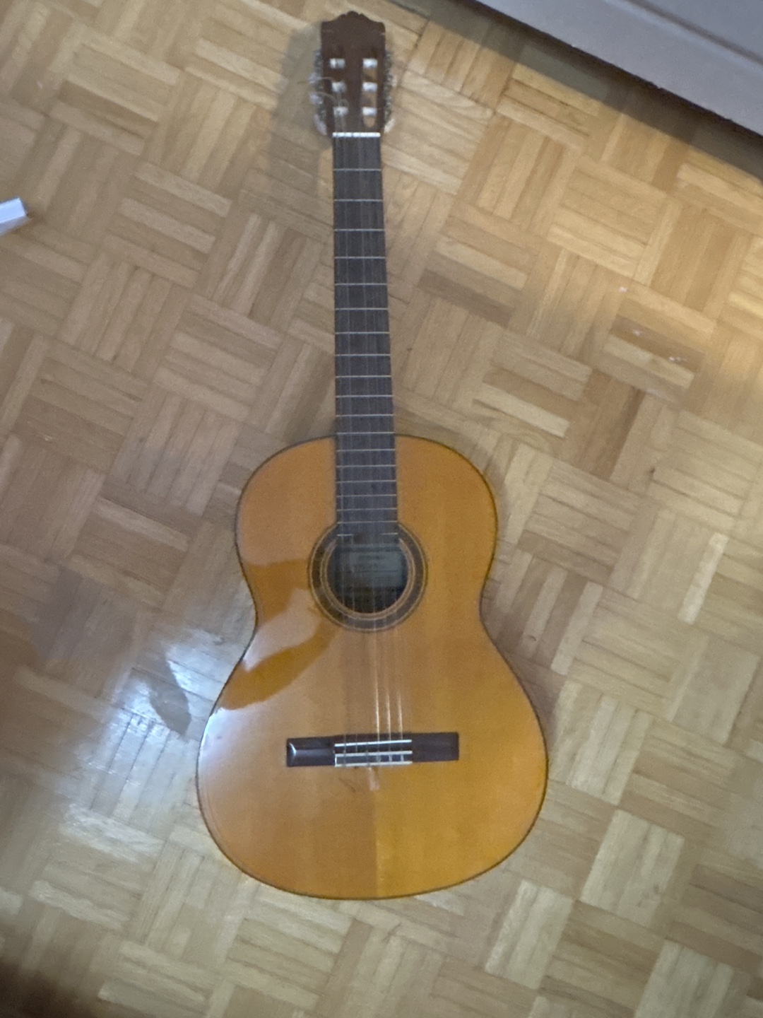 Acoustic Guitar