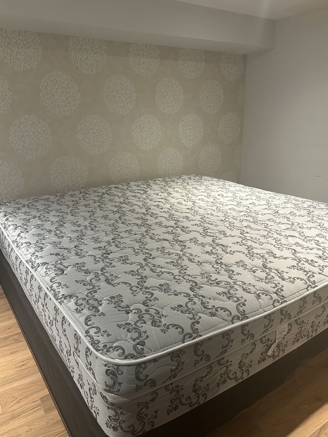 Queen Mattress and Boxspring Set