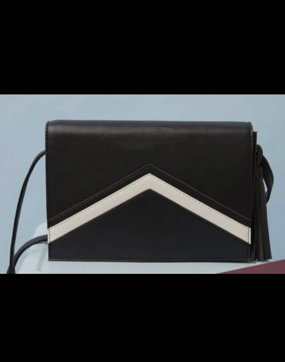 Black and White crossbody purse (Final Price) image indicator(2)