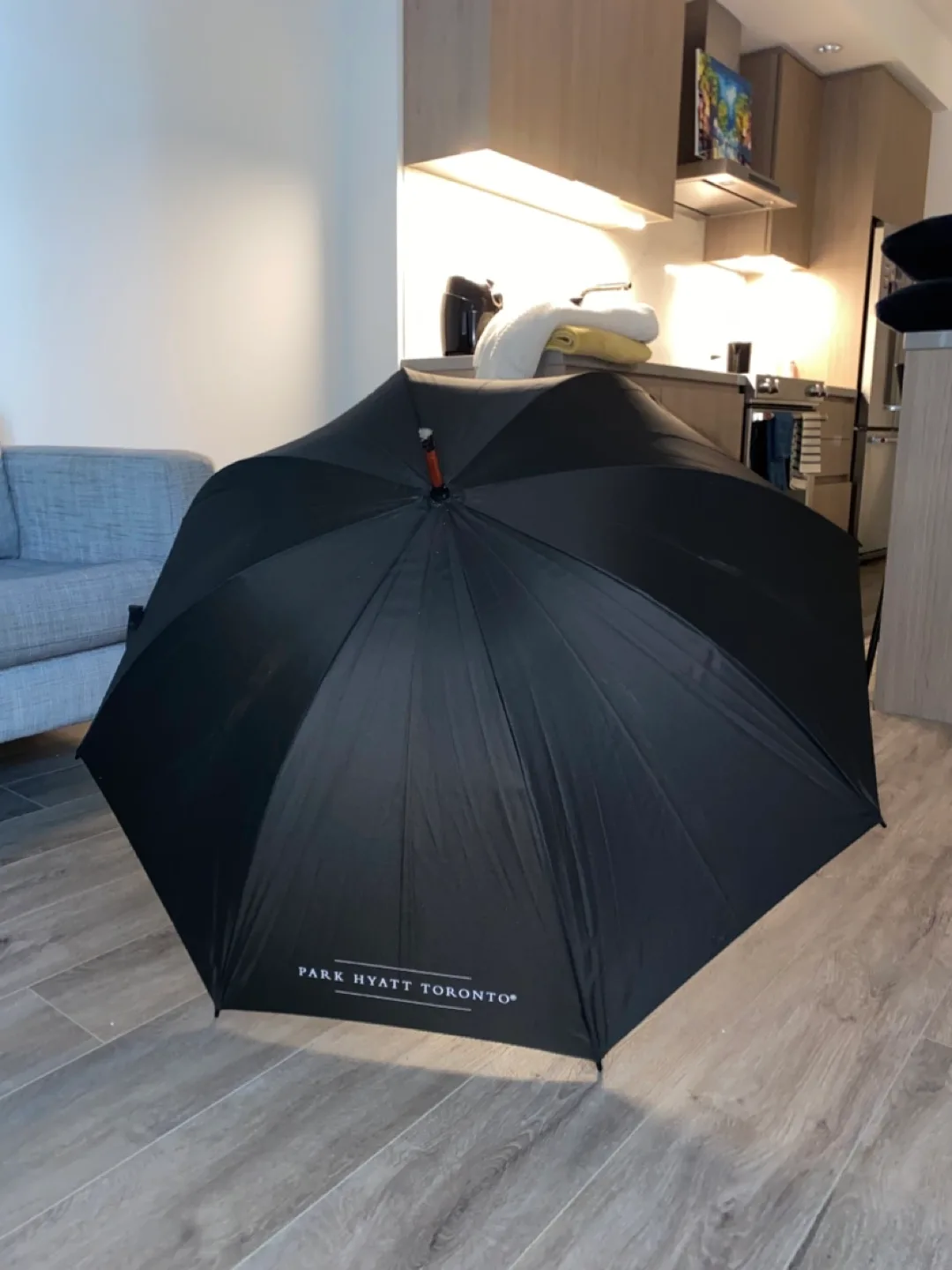 Park Hyatt Toronto Umbrella thumbnail