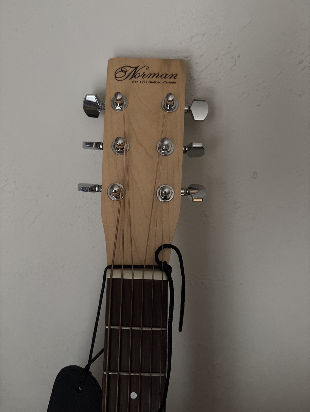Norman Expedition Nat SG  Acoustic Guitar - photo 2