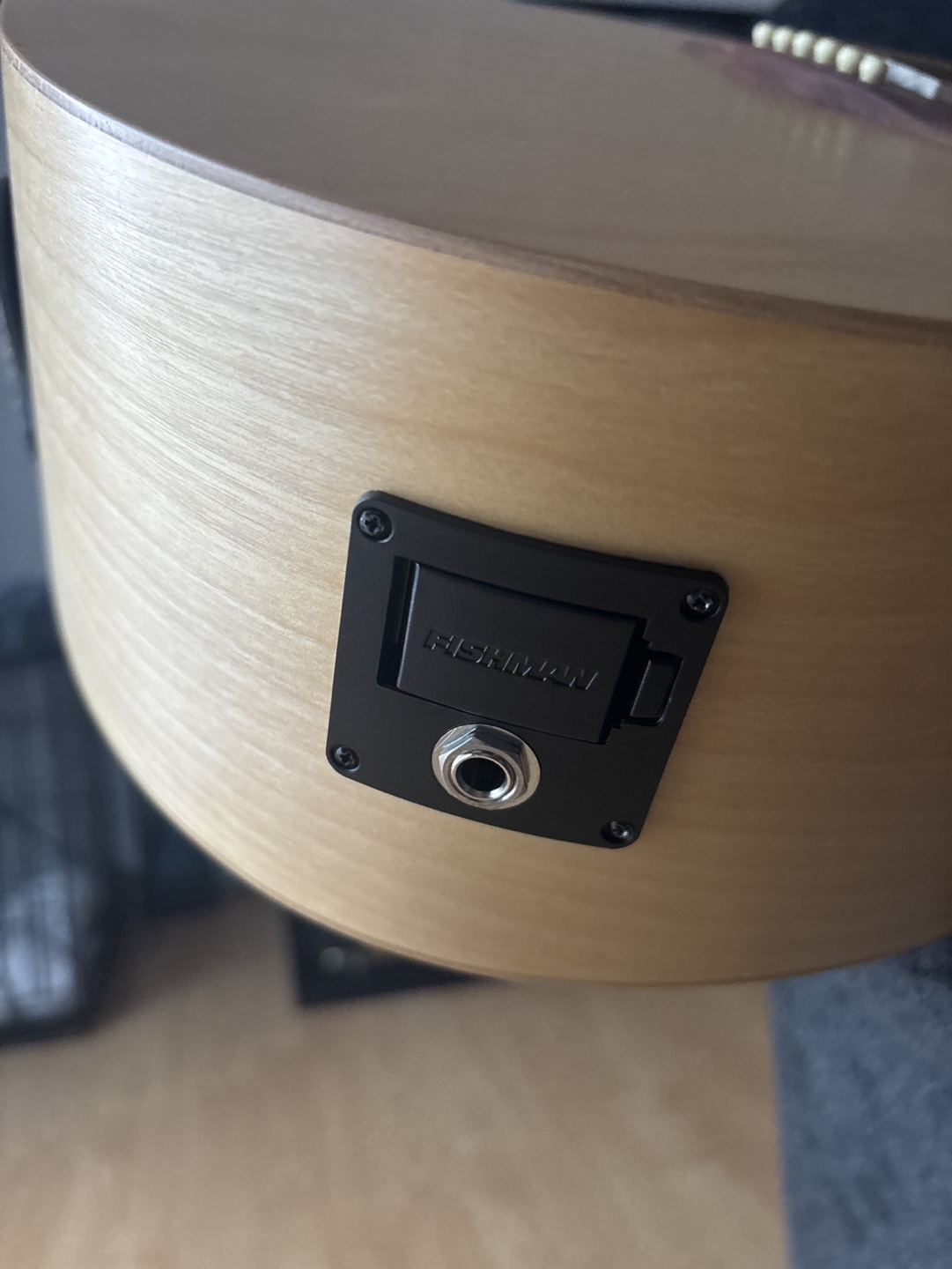 Norman Expedition Nat SG  Acoustic Guitar - photo 4