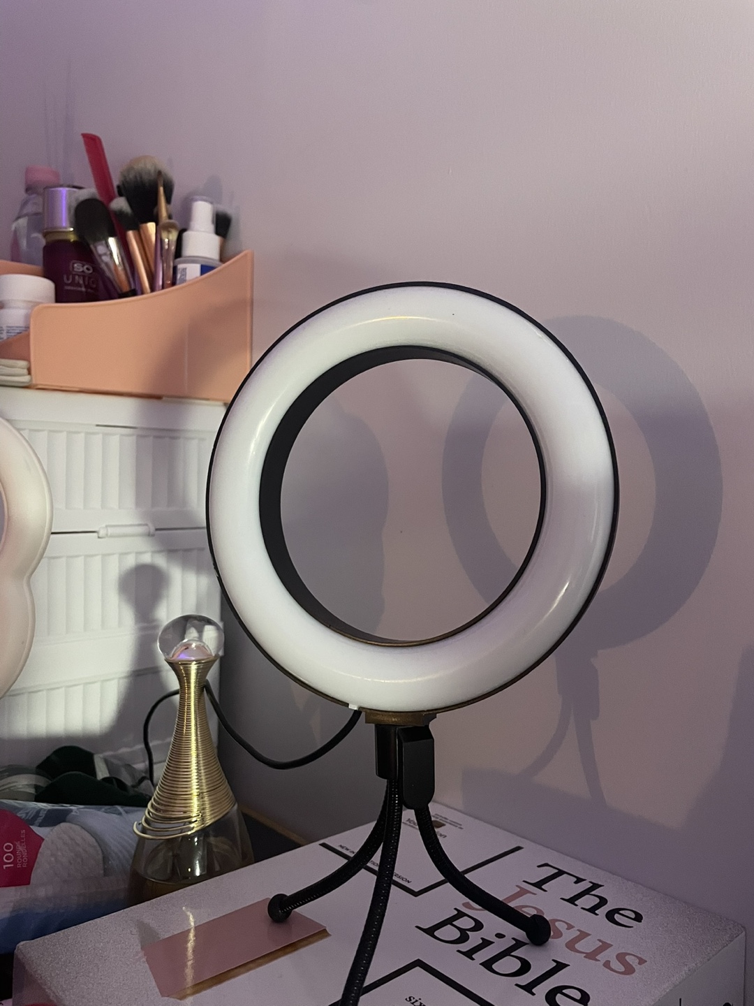 Ring Light with Stand #freecycle