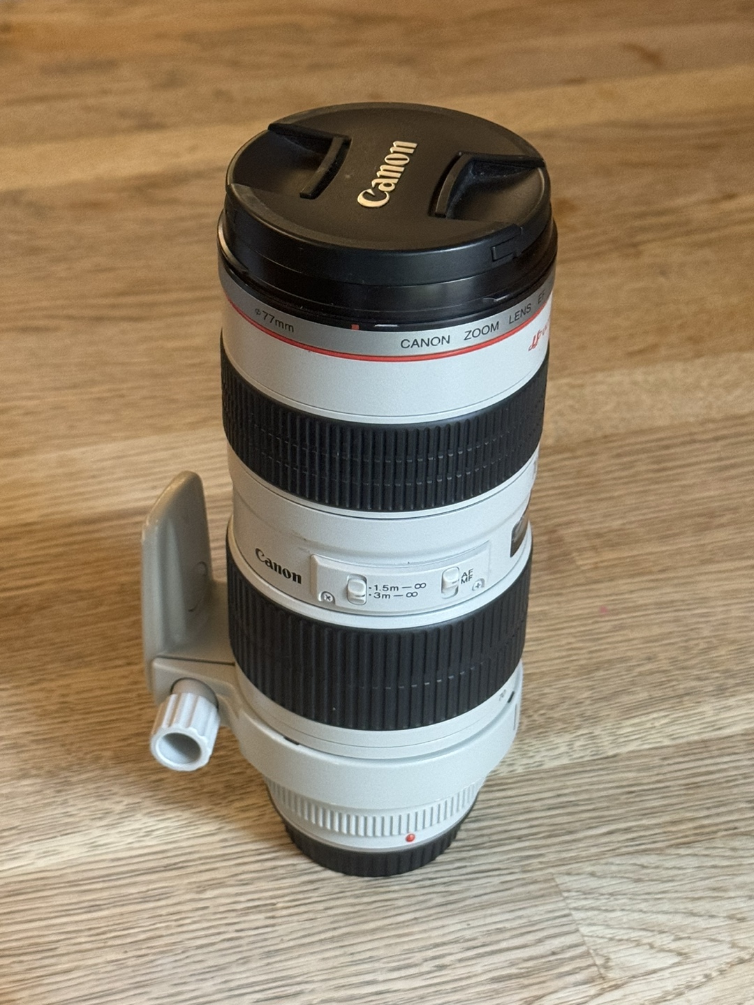 Canon 70-200mm f/2.8L USM Lens - photo 3