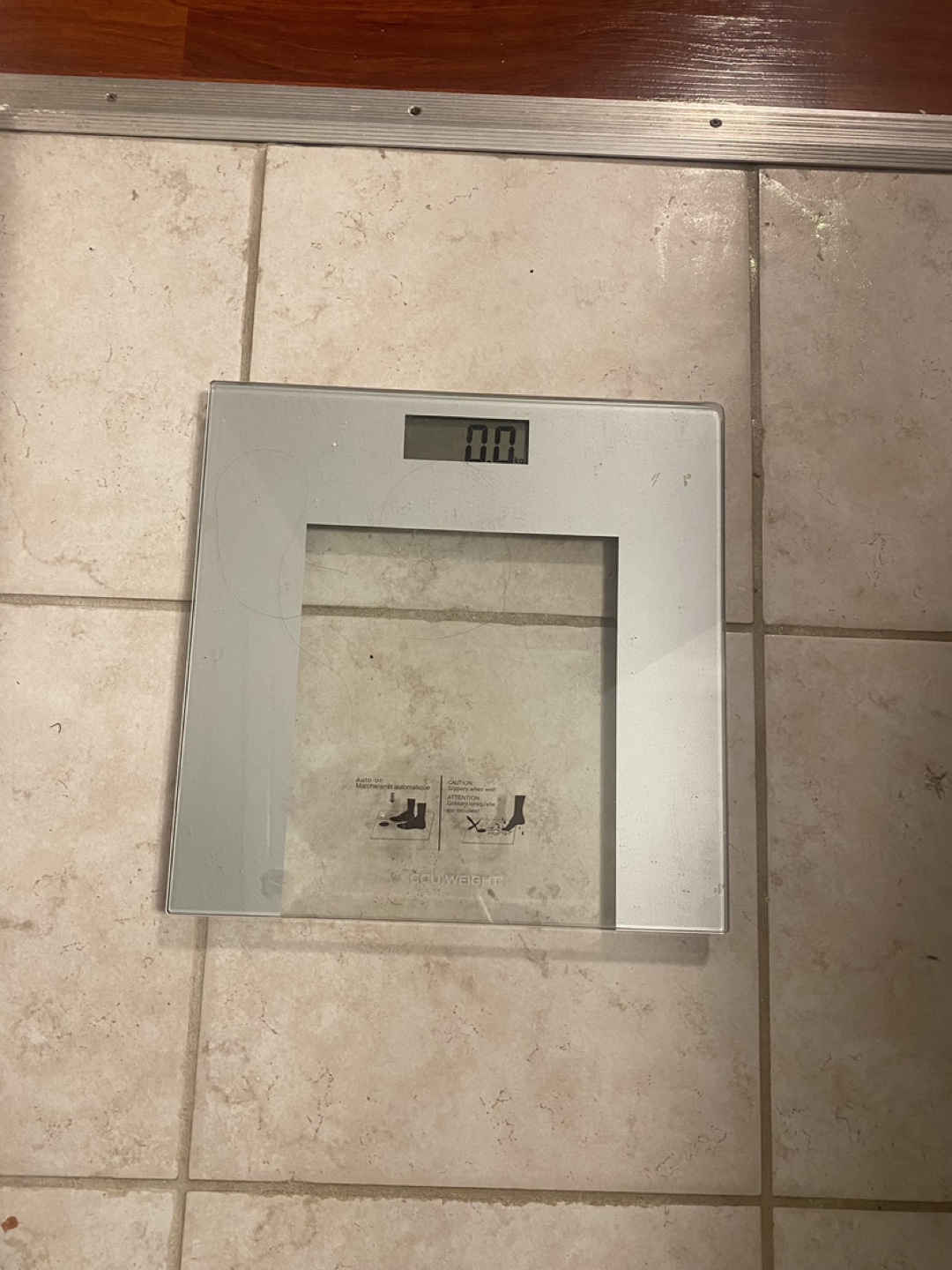 Bathroom Scale
