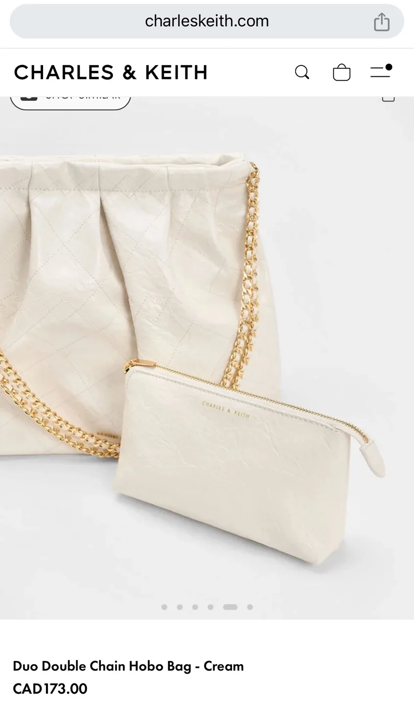 Charles & Keith Double Chain Hobo Bag in Cream image indicator(2)