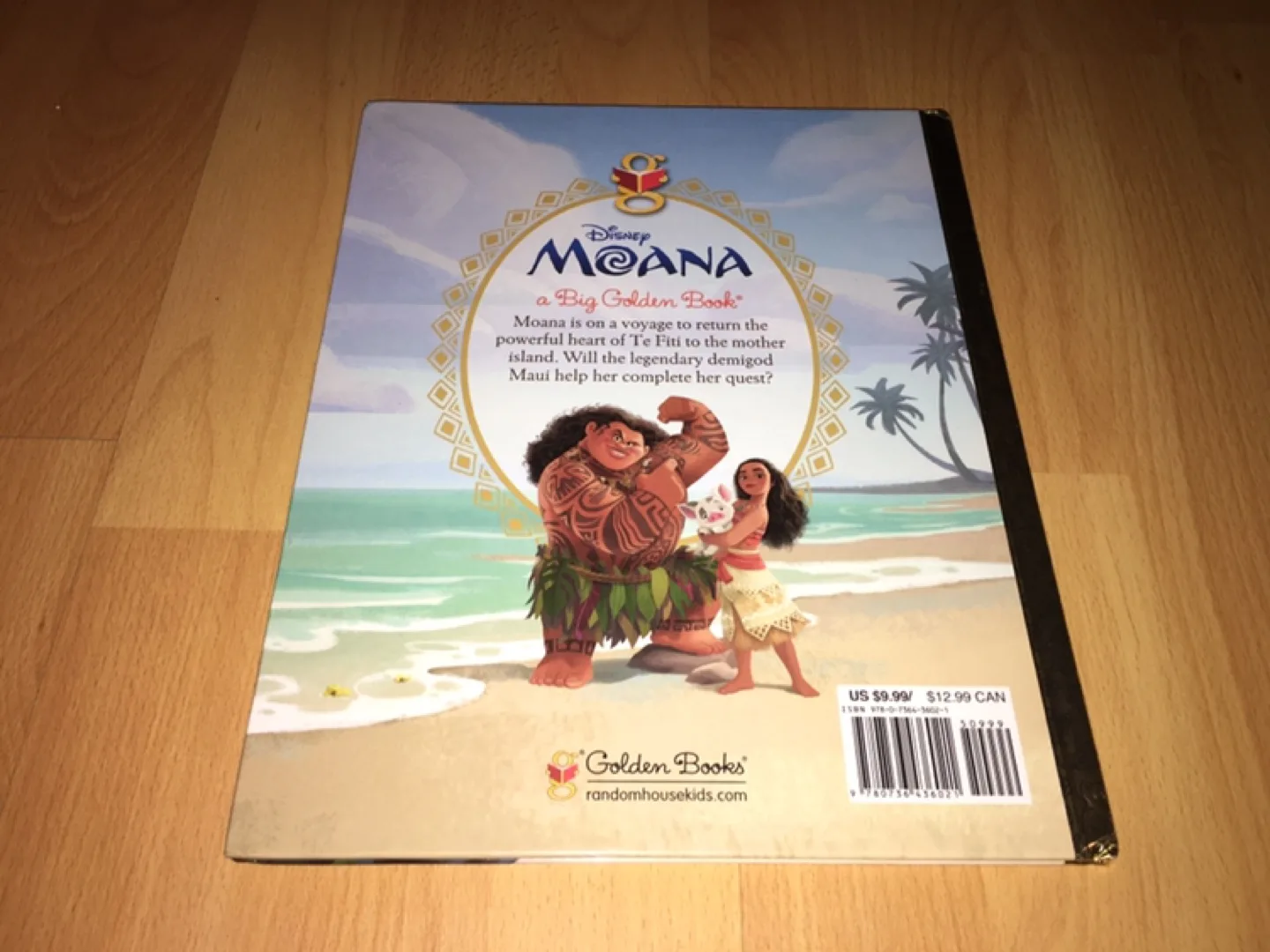 Large Hardcover Disney Moana Big Golden Book image indicator(3)