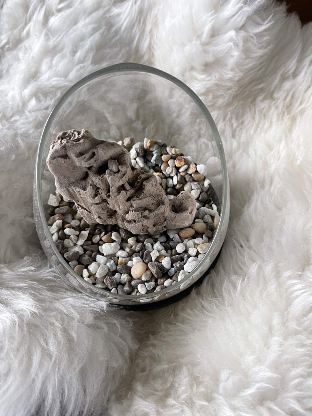 Glass Terrarium with Driftwood and Stones - photo 2