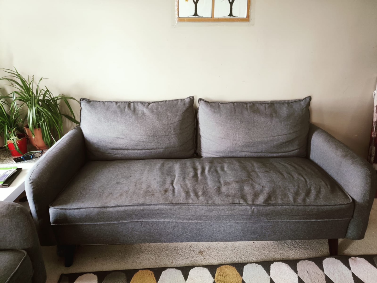 Loveseat and 3 seater couch - photo 3
