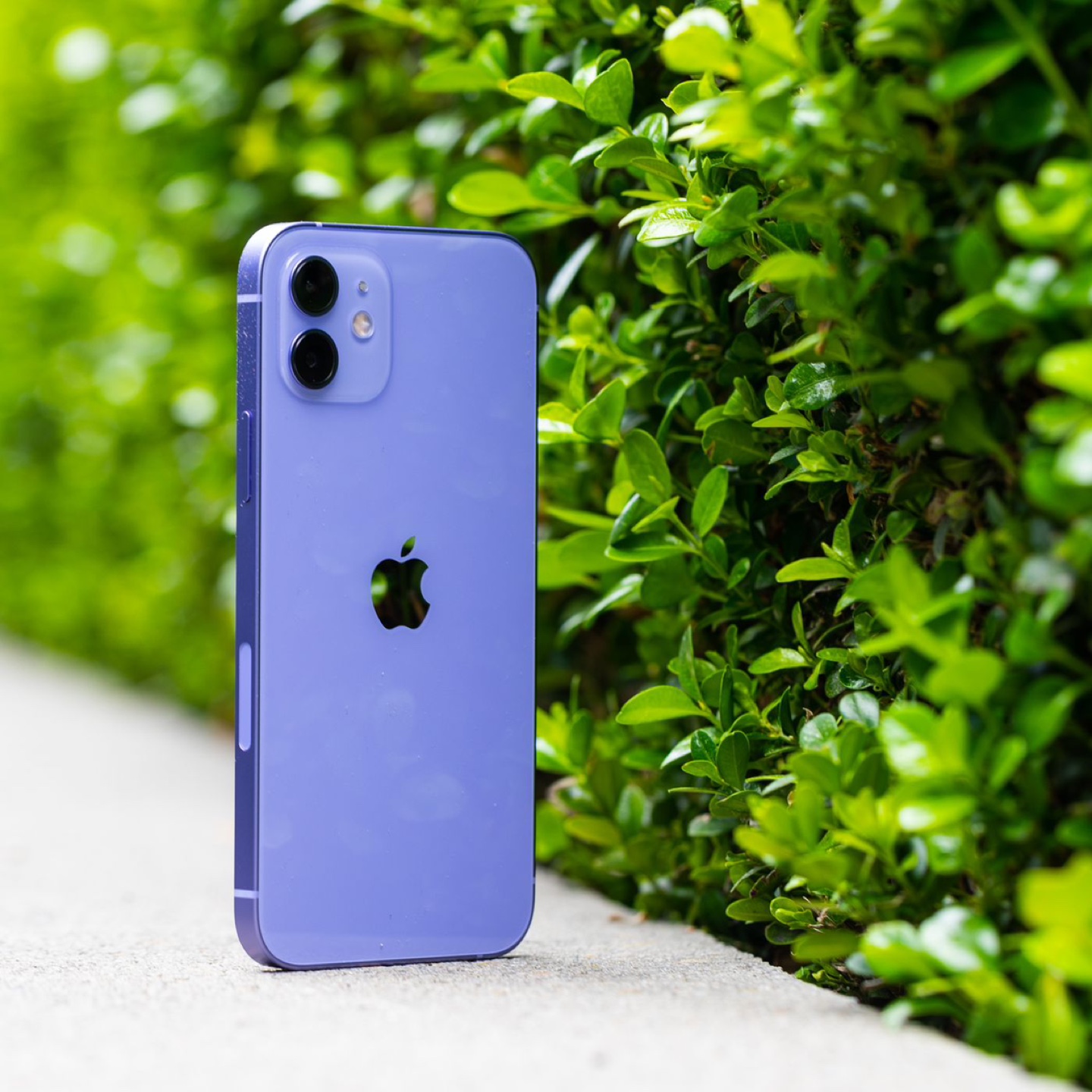 iPhone 12, purple color - photo 2