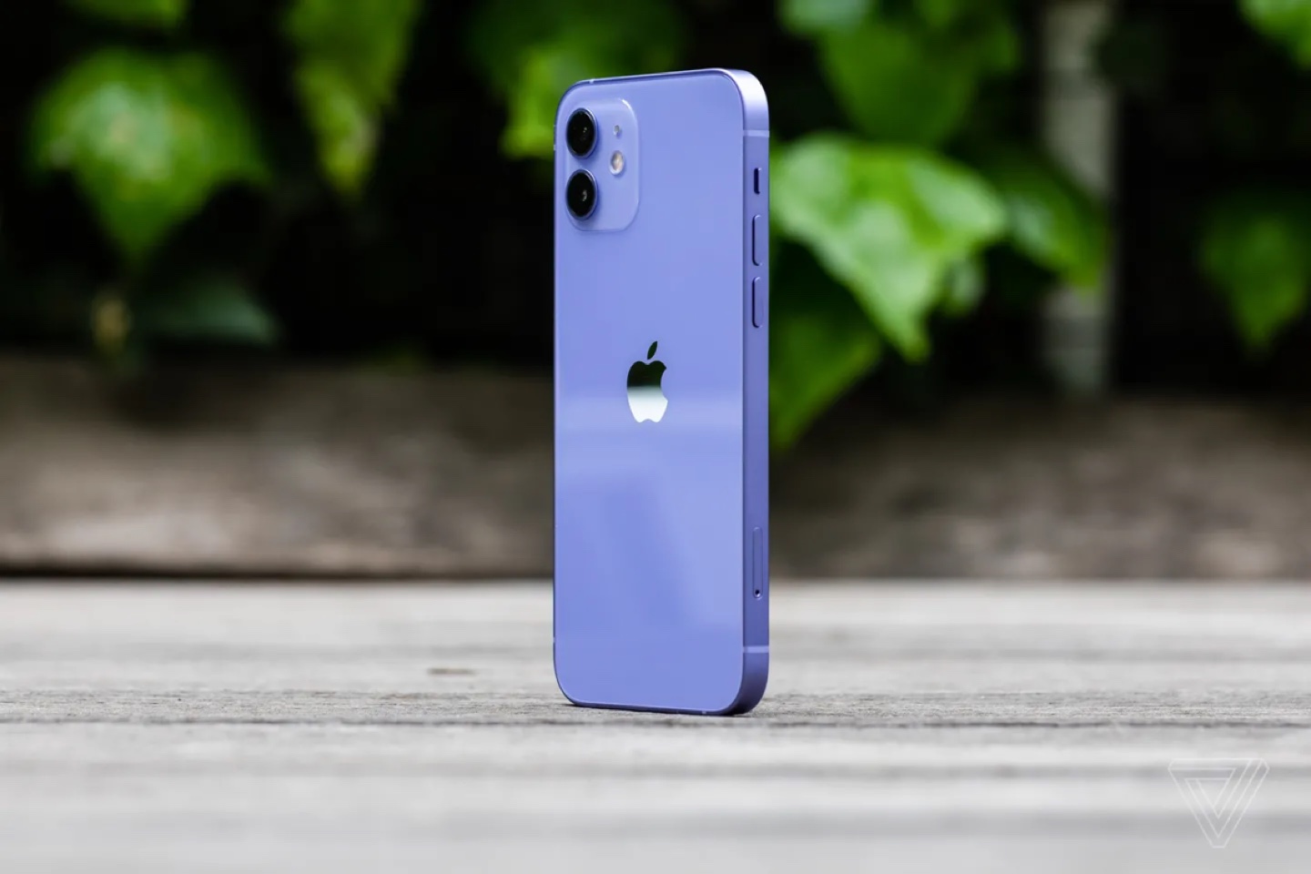 iPhone 12, purple color