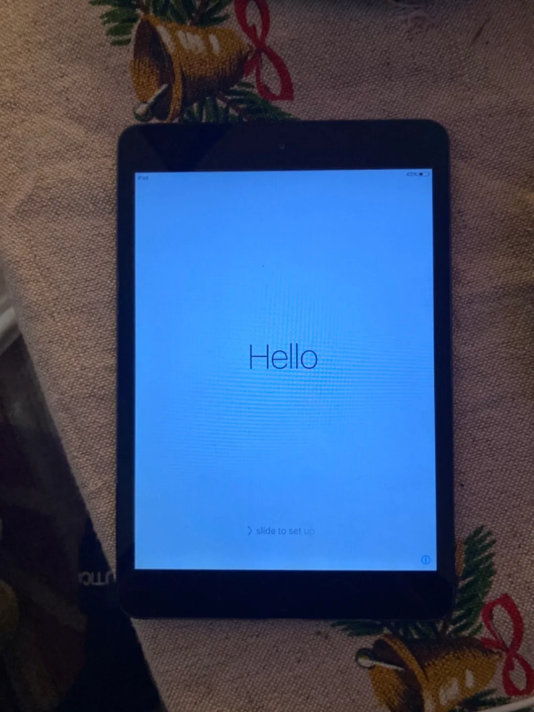 iPad Mini 2 (Wi-Fi) 16GB - Space Grey image indicator(5)