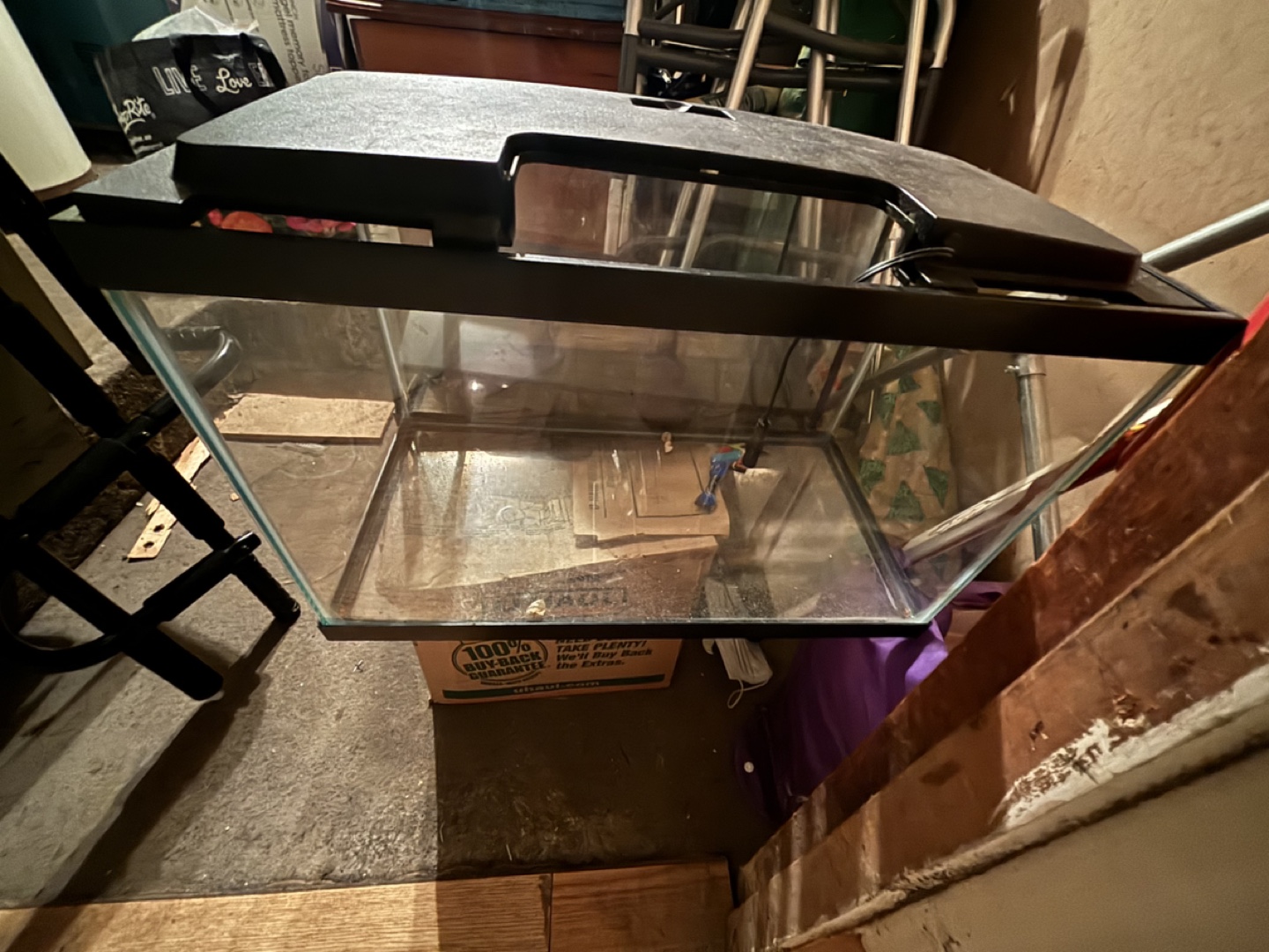 10 Gallon Fish Tanks