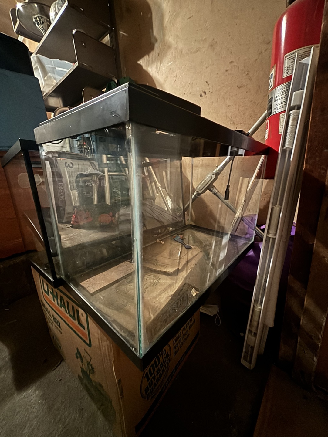 10 Gallon Fish Tanks - photo 3