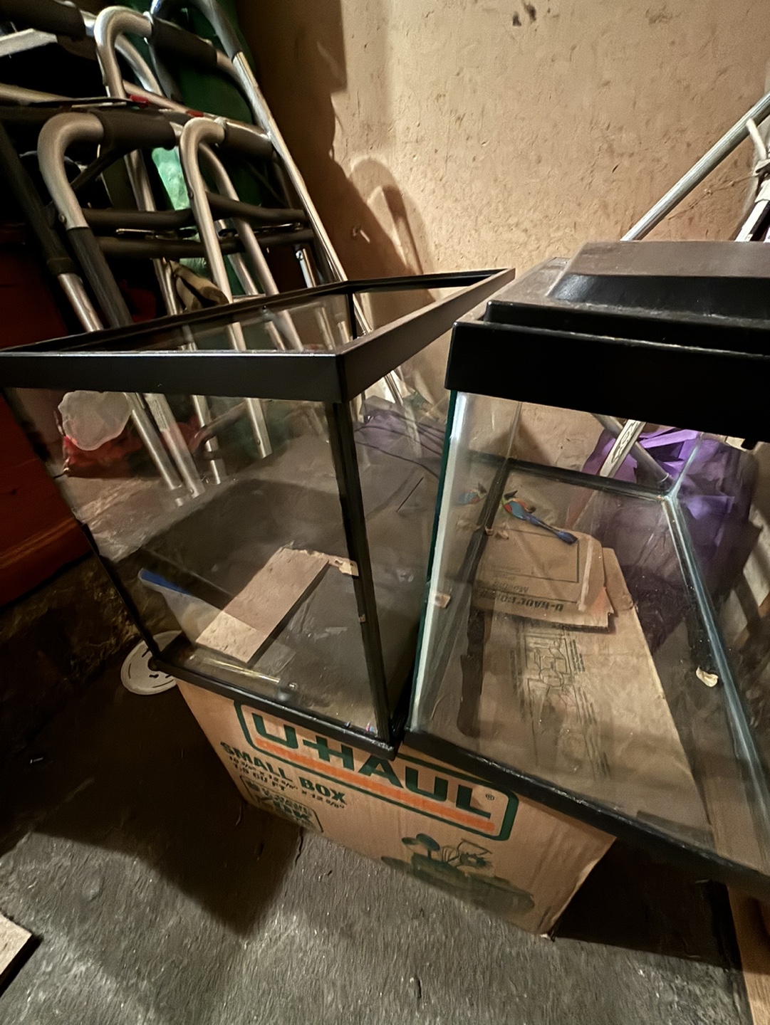 10 Gallon Fish Tanks - photo 2