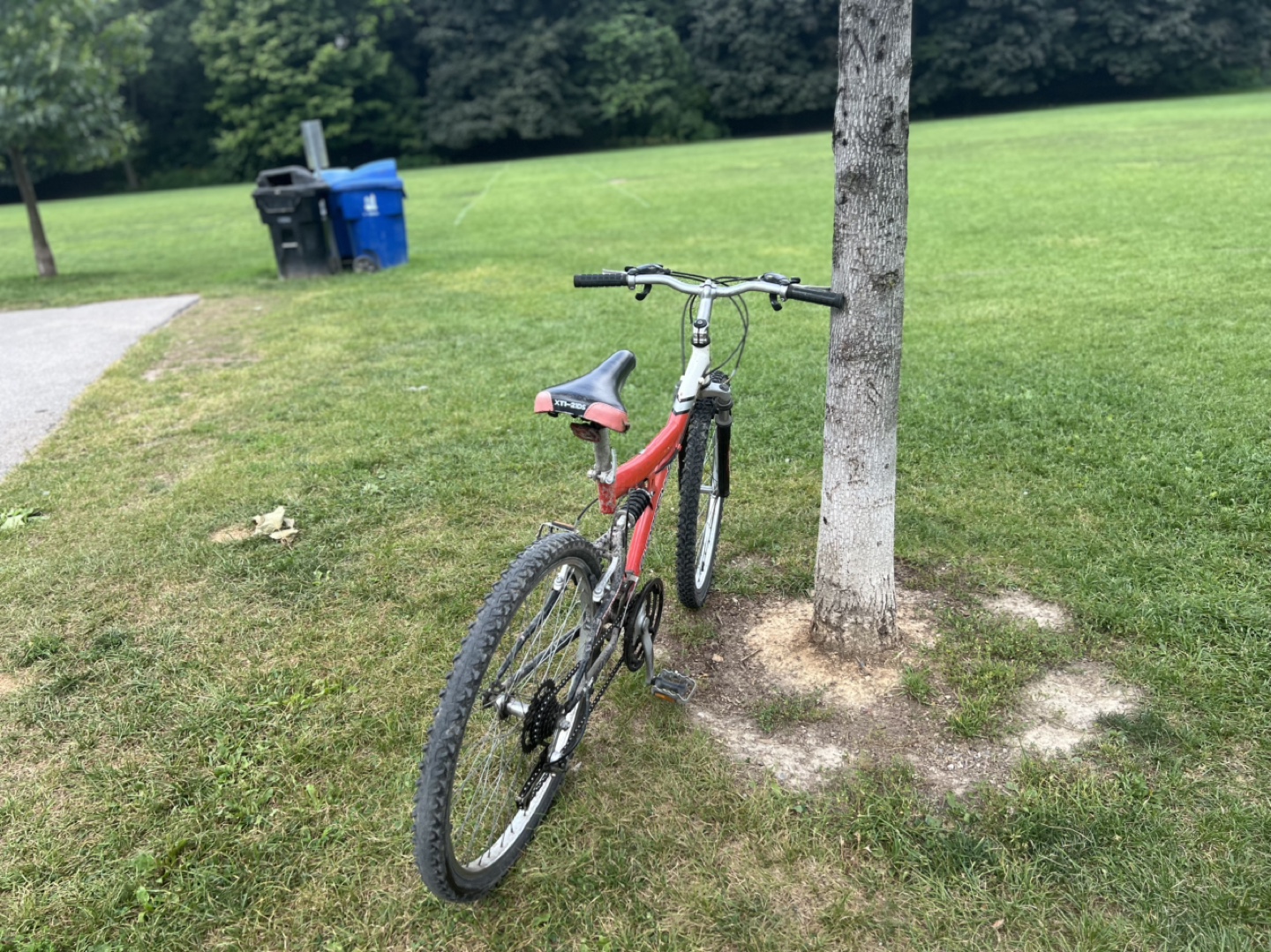 Supercycle X-Trail Mountain Bike - photo 2