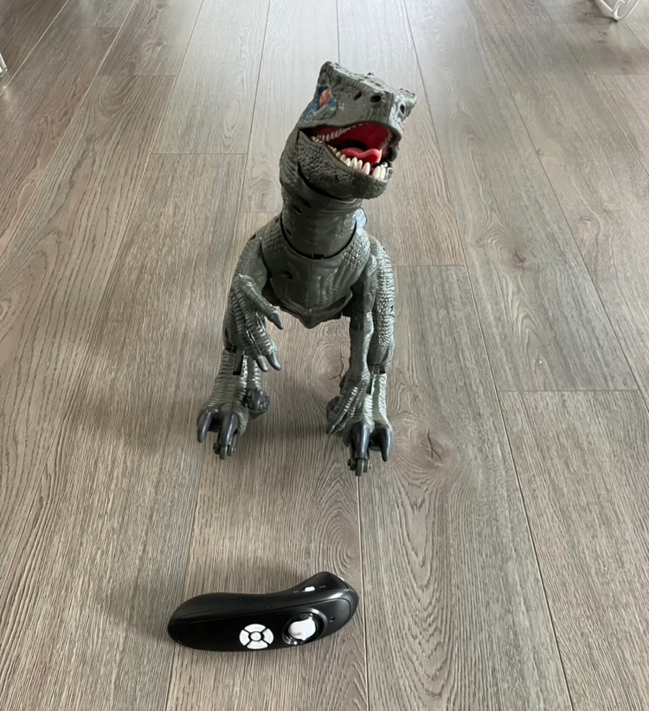 Jurassic World  Blue Raptor Dinosaur image indicator(5)