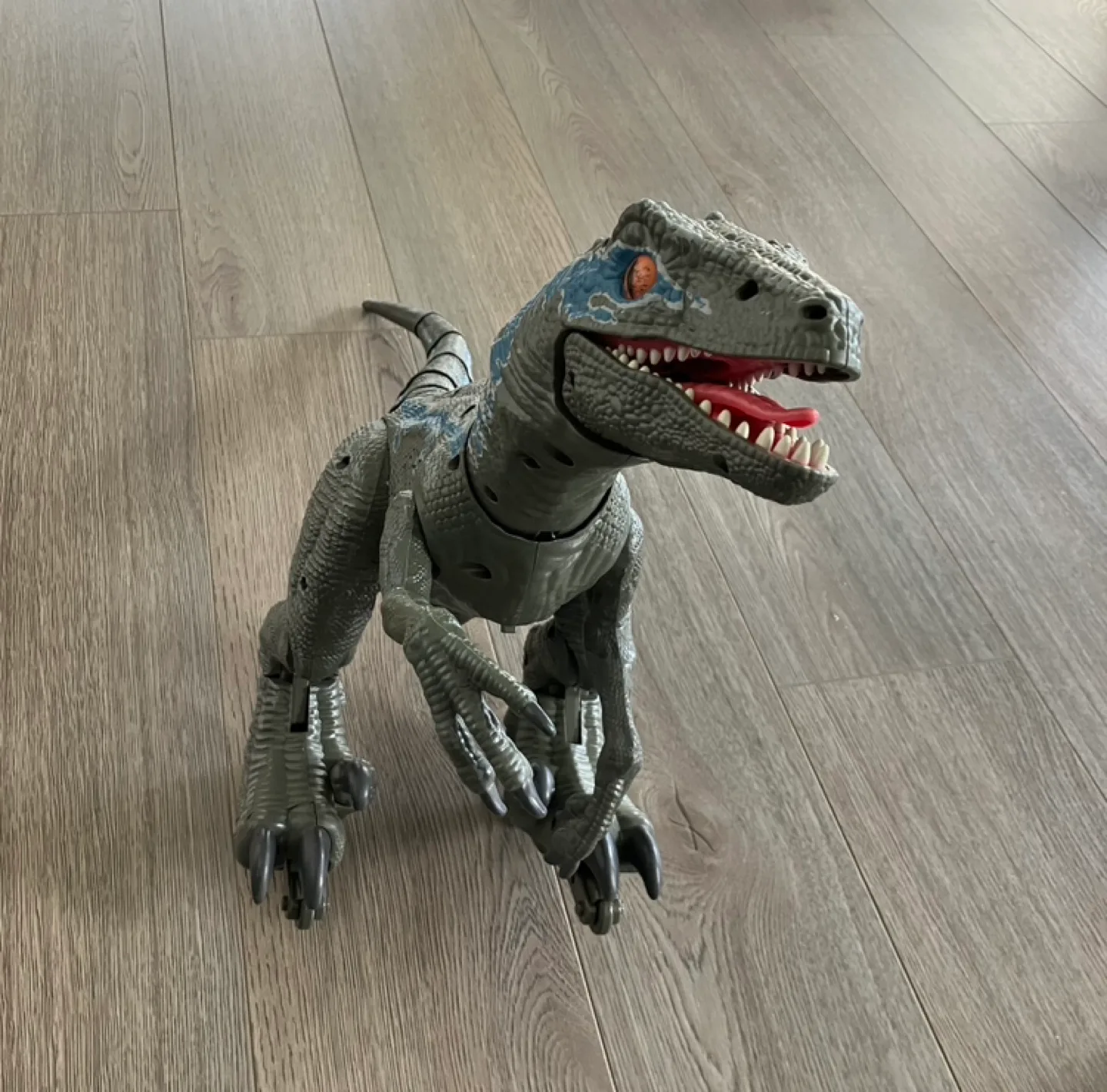 Jurassic World  Blue Raptor Dinosaur image indicator(3)