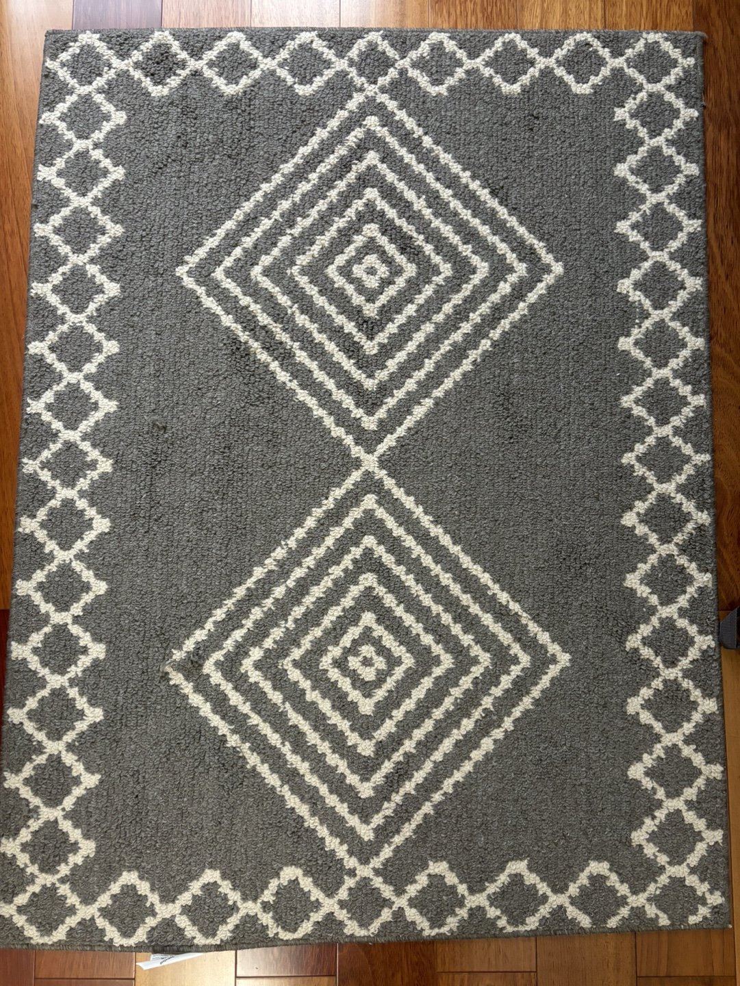 Gray and White area Rug