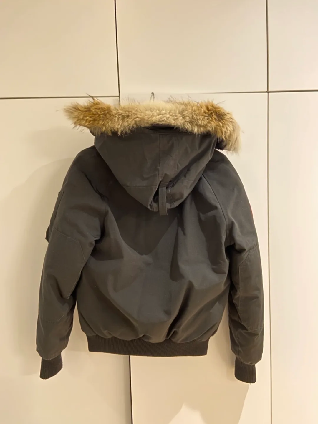 Canada Goose Chilliwack Bomber Jacket image indicator(5)