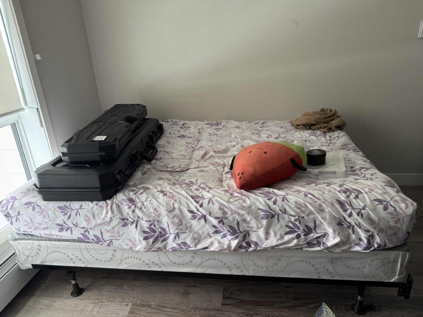 Bed frame + mattress