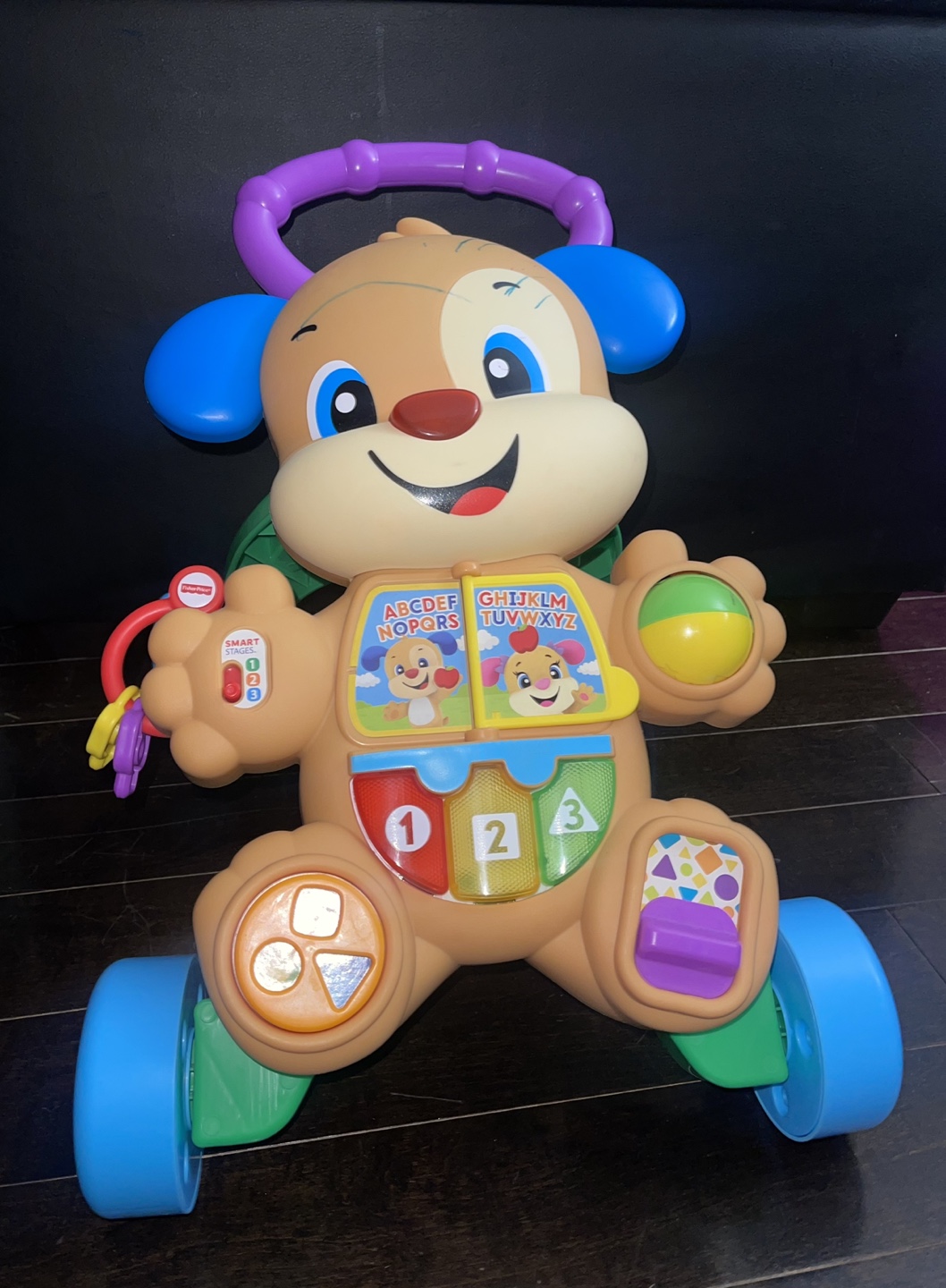 Fisher-Price Smart Stages Puppy Walker
