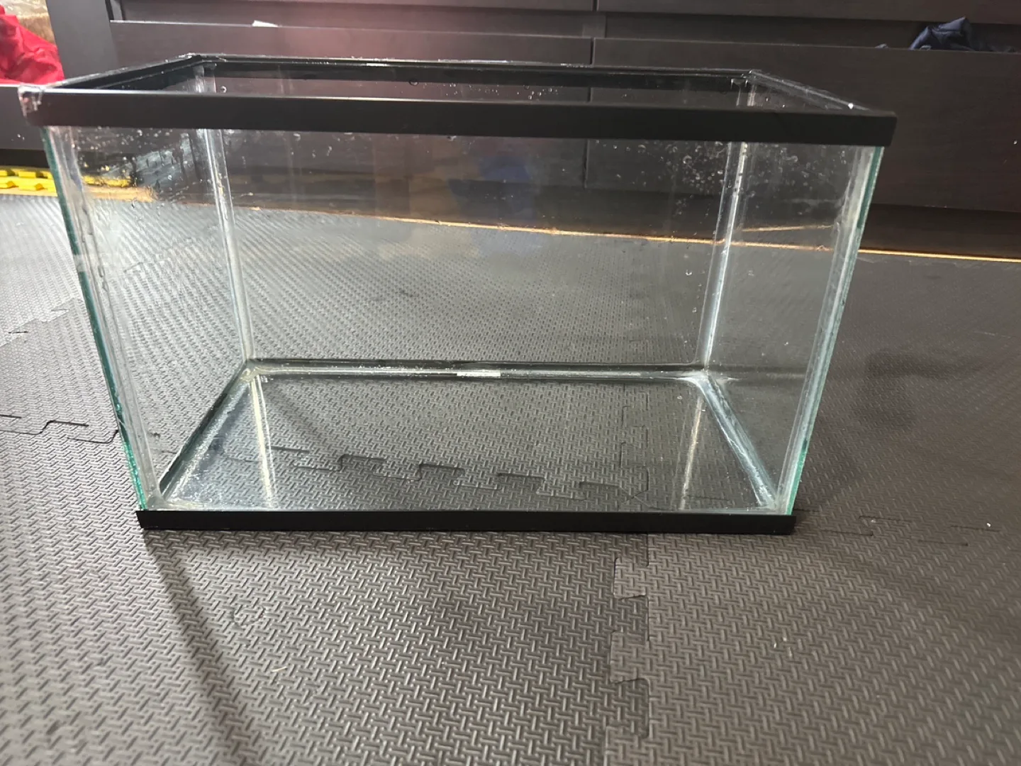 5 Gallon aquarium #freecycle thumbnail