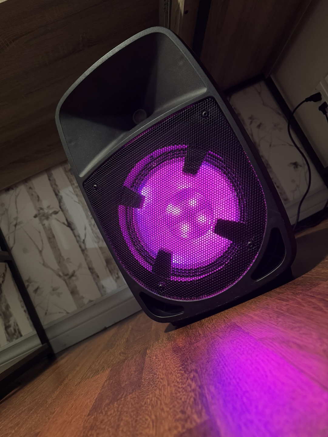 ION Pro Glow 10 (Powerful Speaker)