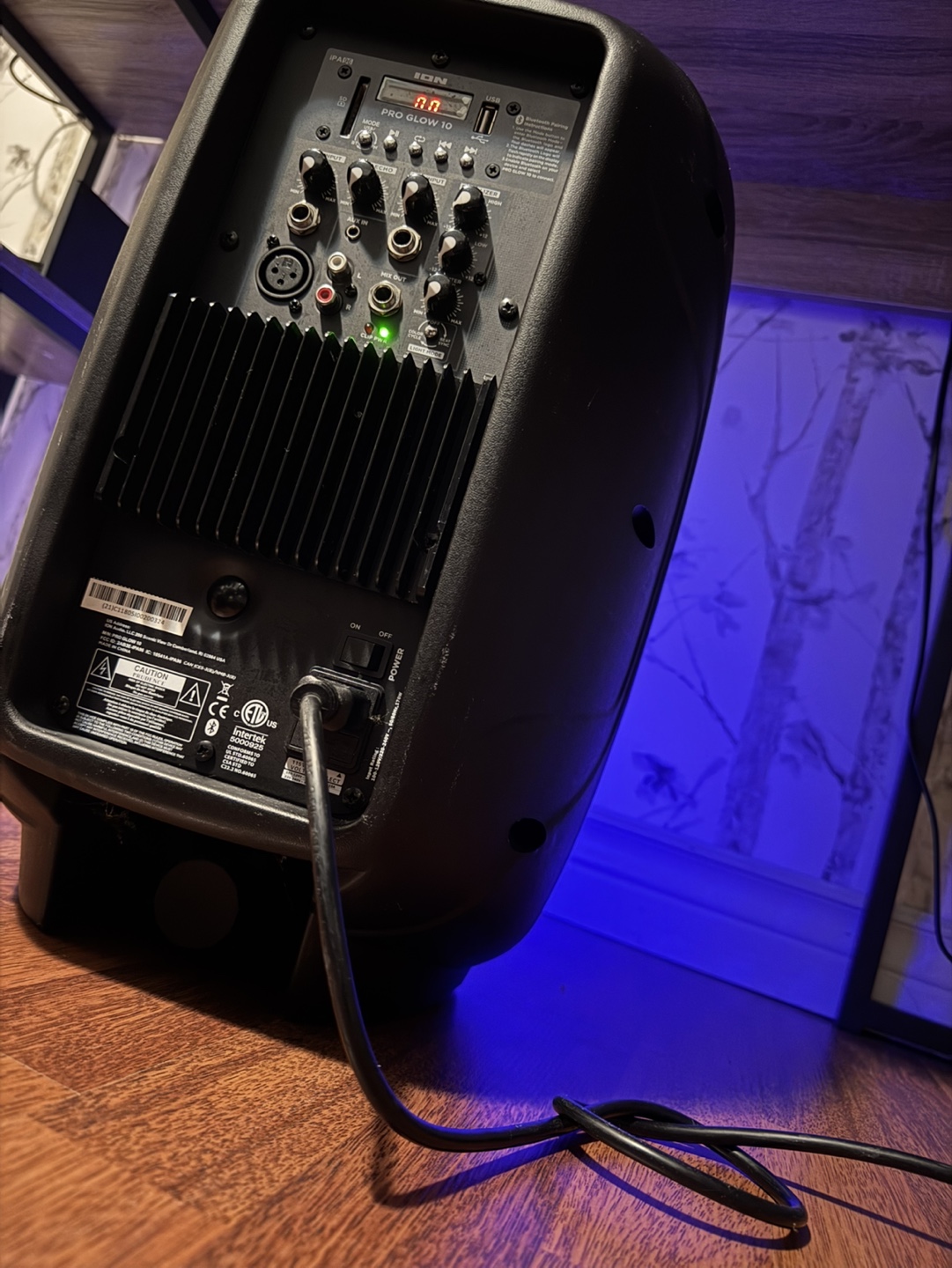 ION Pro Glow 10 (Powerful Speaker) - photo 2