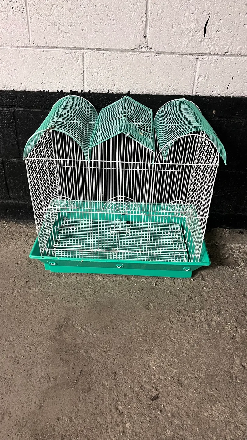 Two Bird Cages image indicator(2)