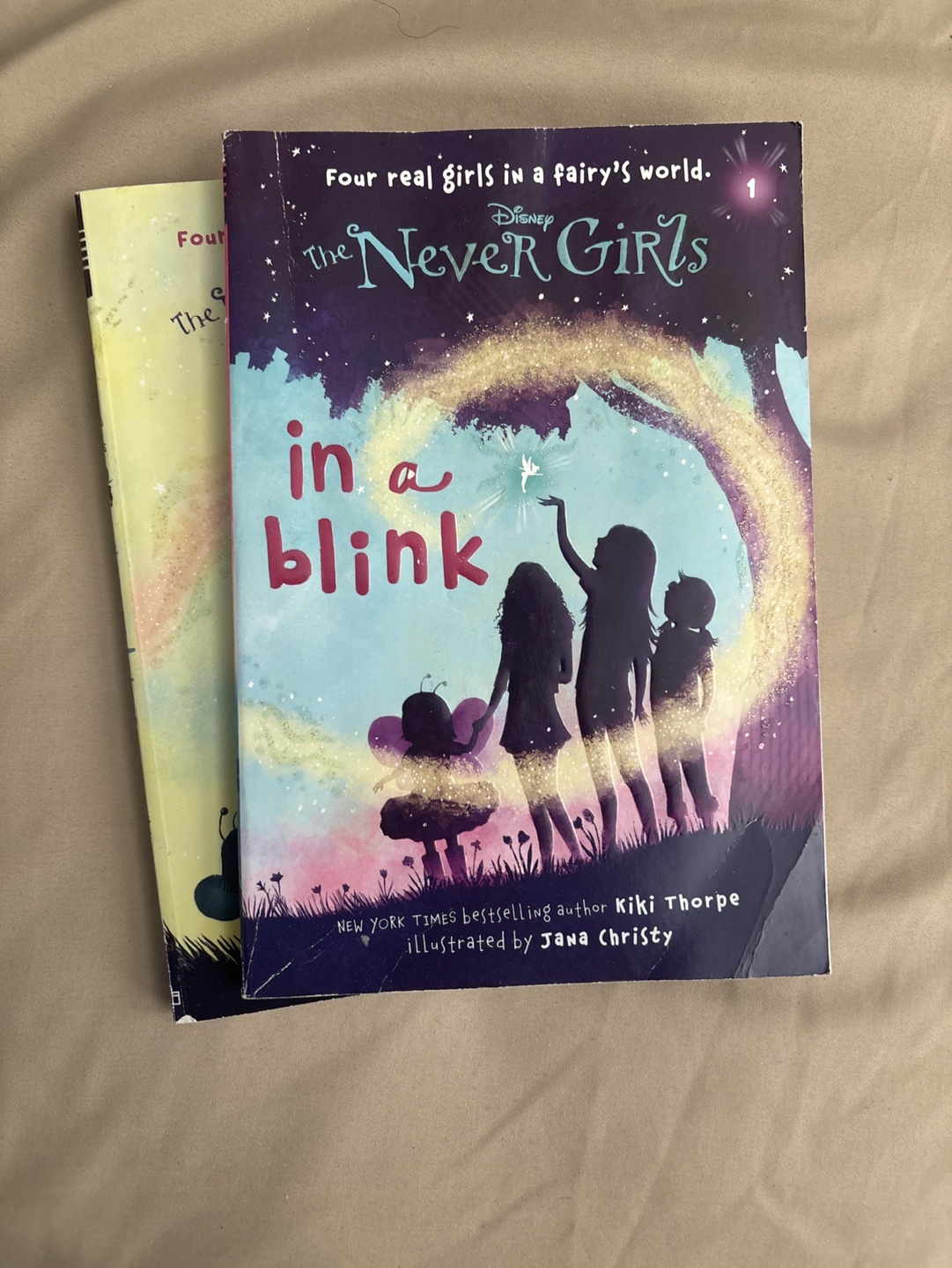 Disney The Never Girls Book Set
