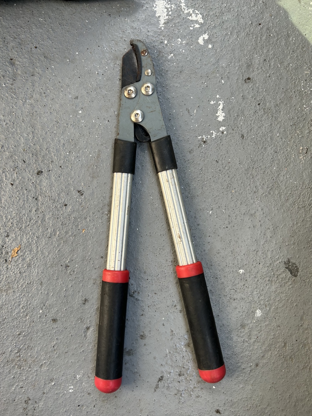 Pruning Shears