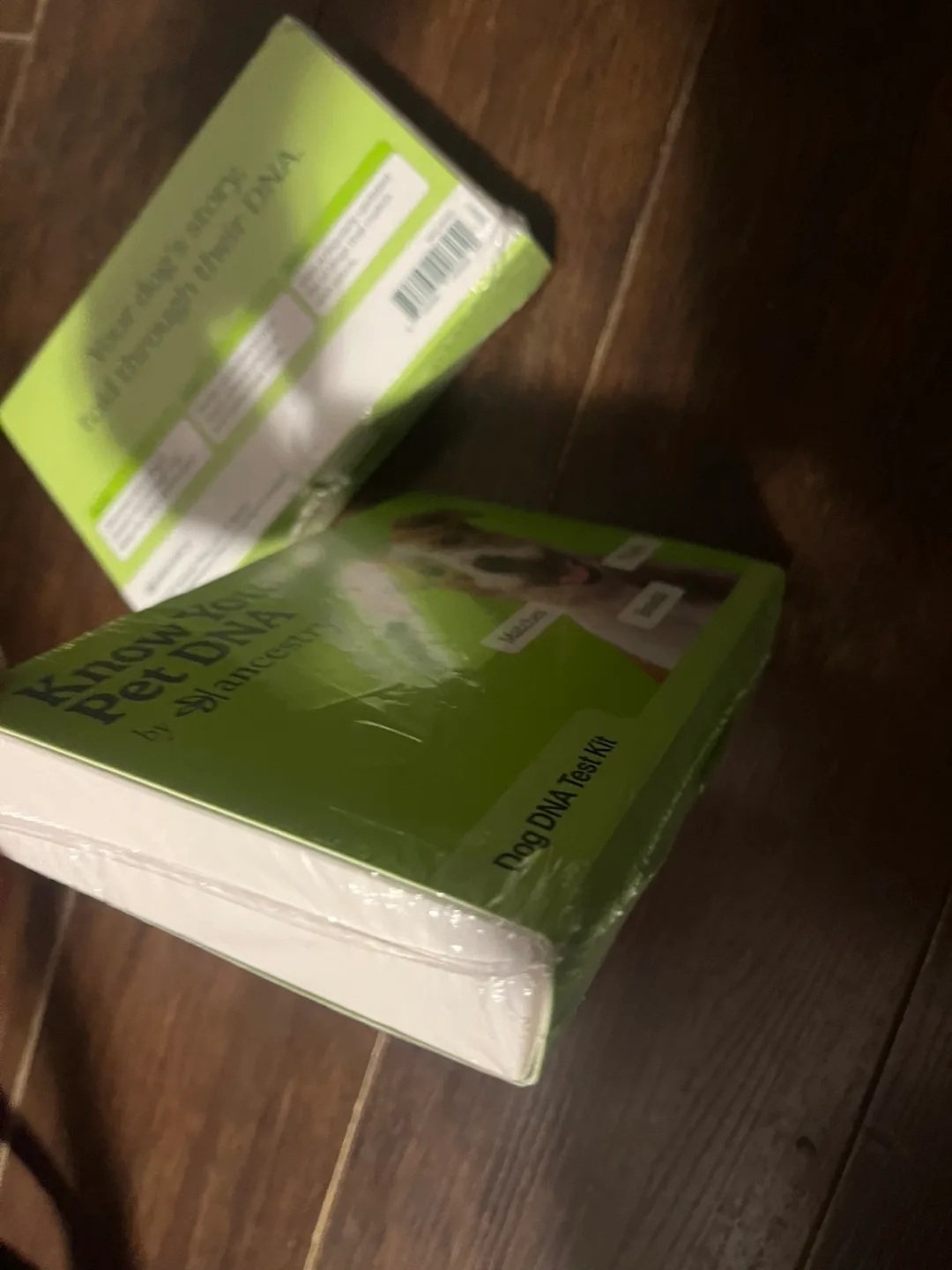 Ancestry Dog DNA Test Kit (make an offer) image indicator(3)