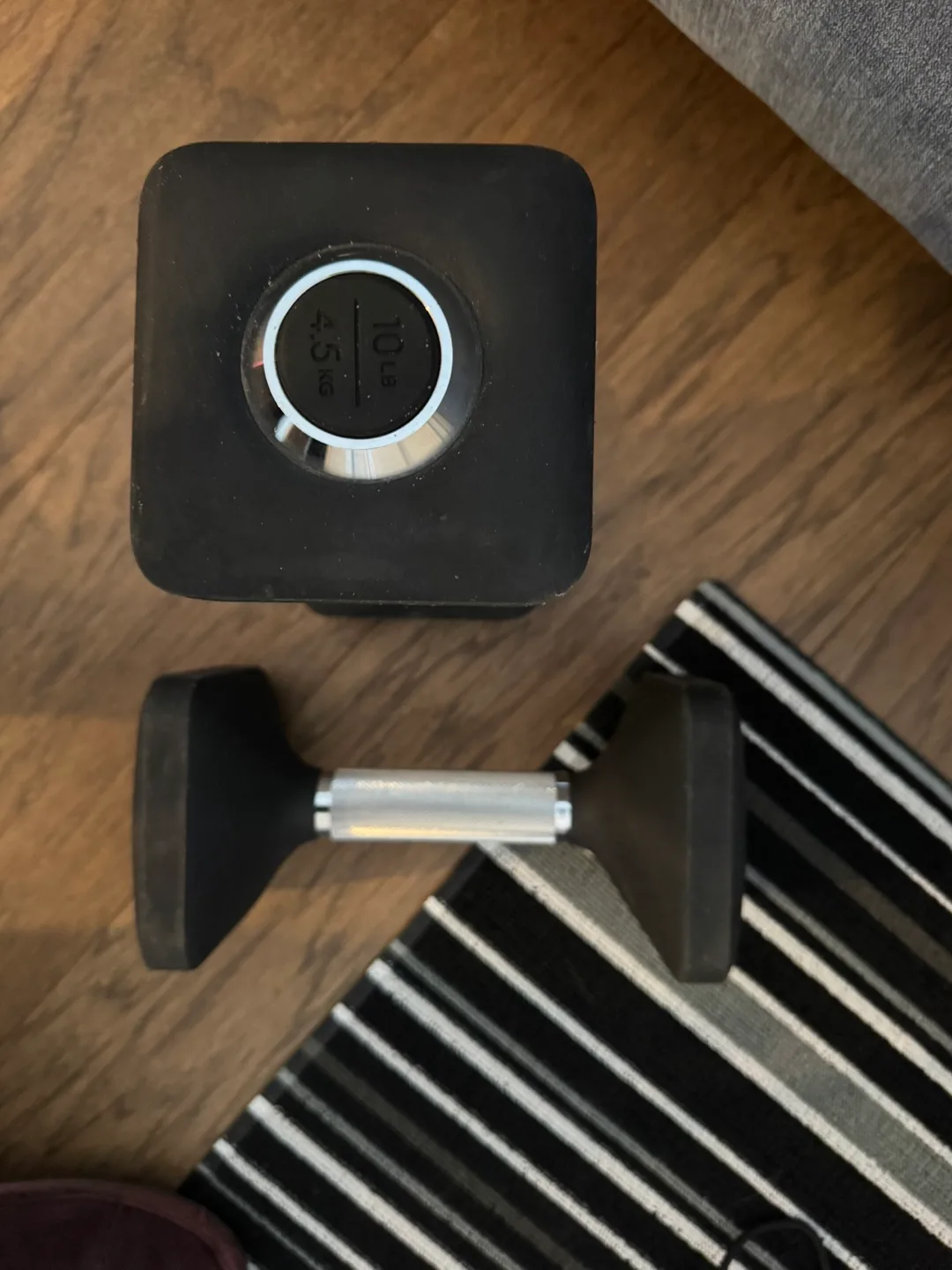 10 lb Dumbbell Set by Peleton thumbnail