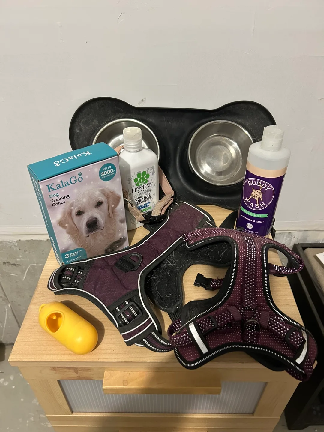 Dog Harness and Training Collar thumbnail
